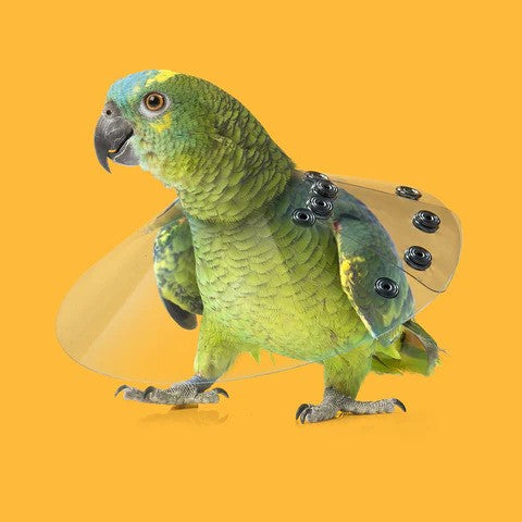 KVP SAF-T-SHIELD E-Collars for Birds 10" Diameter (3.5" - 4")