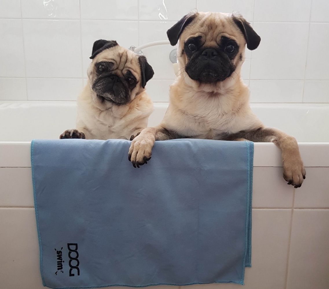 DOOG Swim and Bath Towel for Dogs - Blue