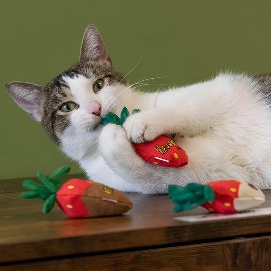 Yeowww! Catnip Strawberry Cat Toys - Chocolate
