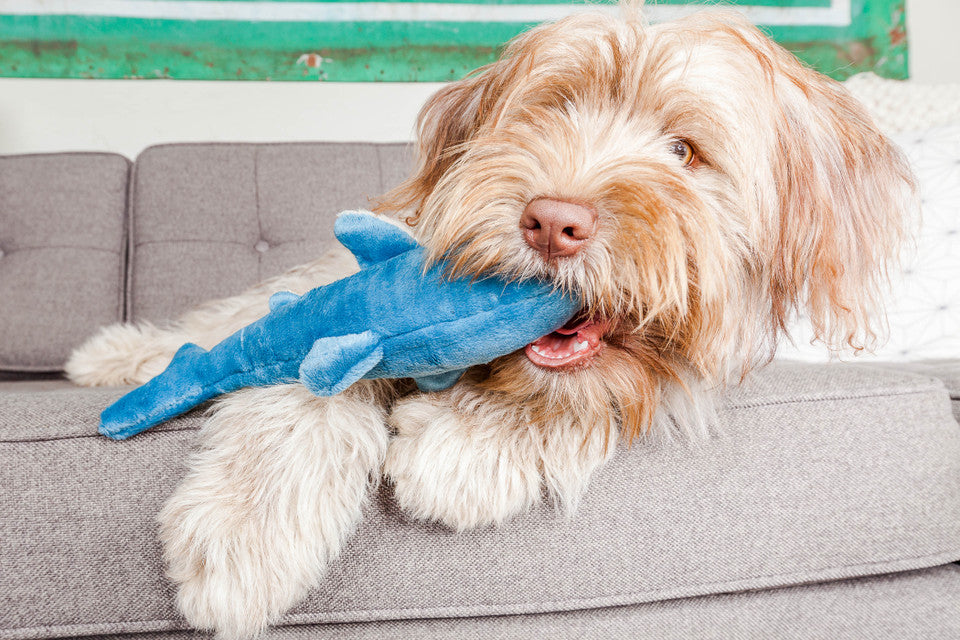 Fluff & Tuff Tank the Shark Dog Toy