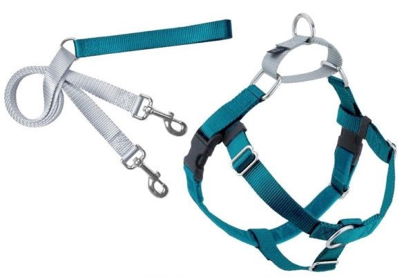 Freedom No-Pull Dog Harness Training Package with Leash, Teal Xlarge
