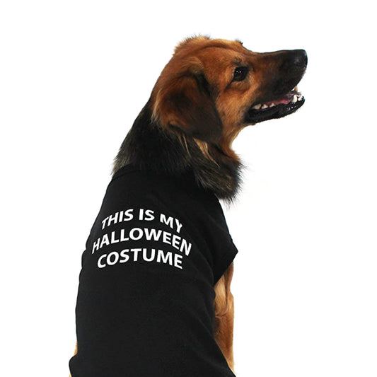 Midlee This is my Halloween Costume Dog Shirt (Small)