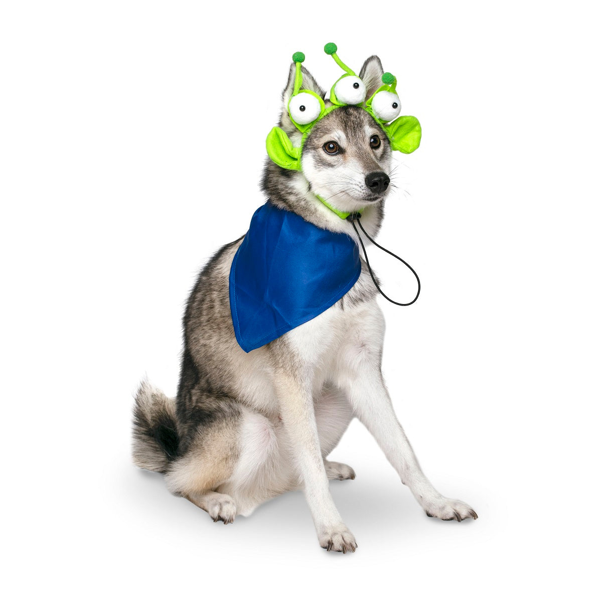 Toy story best sale alien dog costume