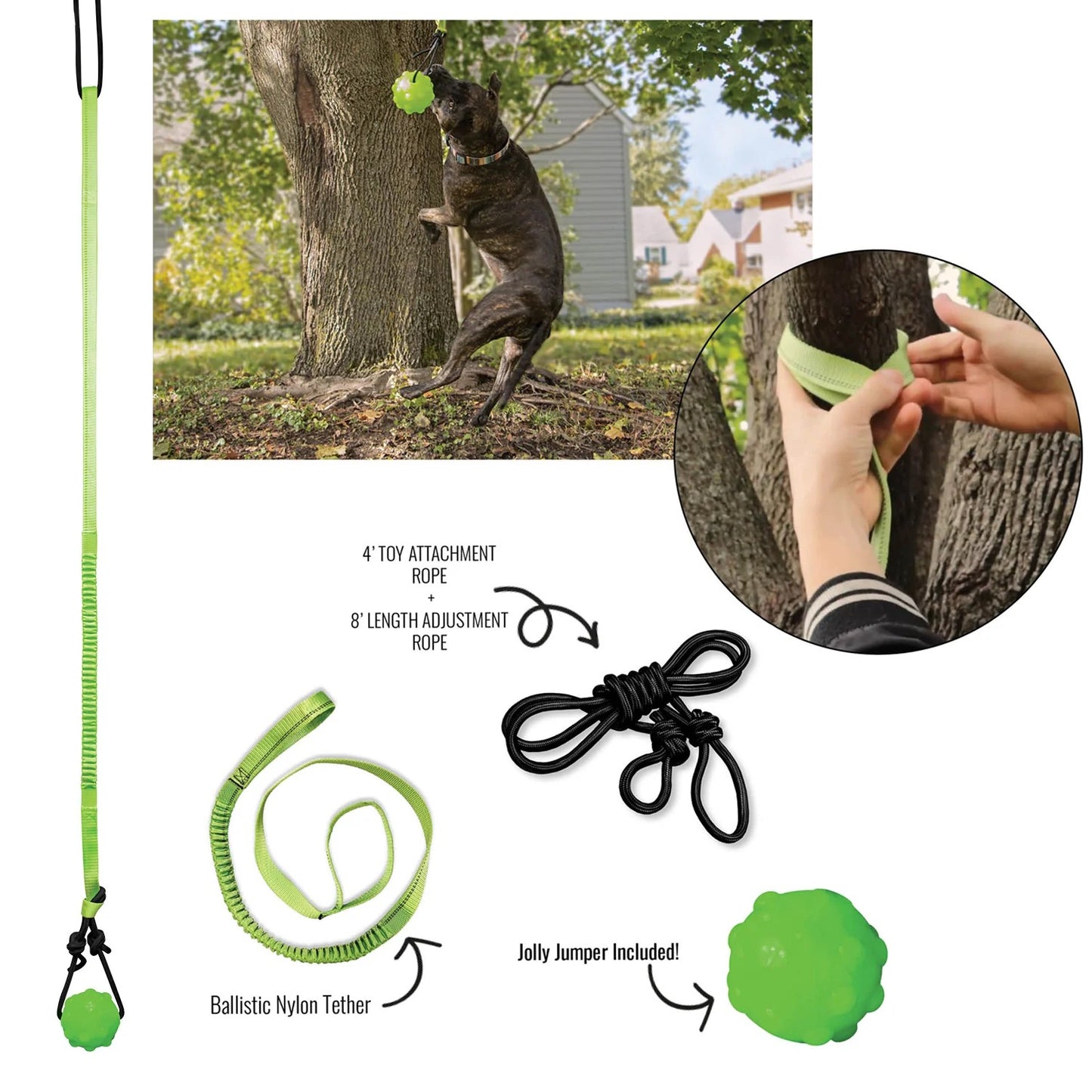 Jolly Pets Tree Tugger For Dog - Green
