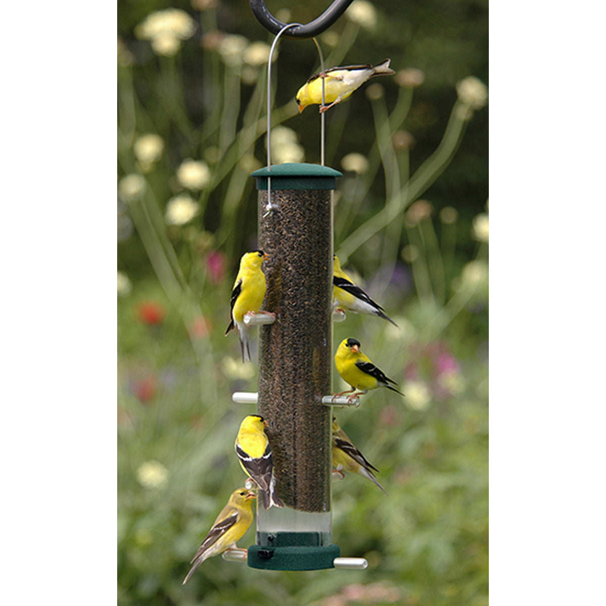 Aspects Spruce Medium Quick Clean Nyjer Thistle Tube Bird Feeder - 1.25 Quart