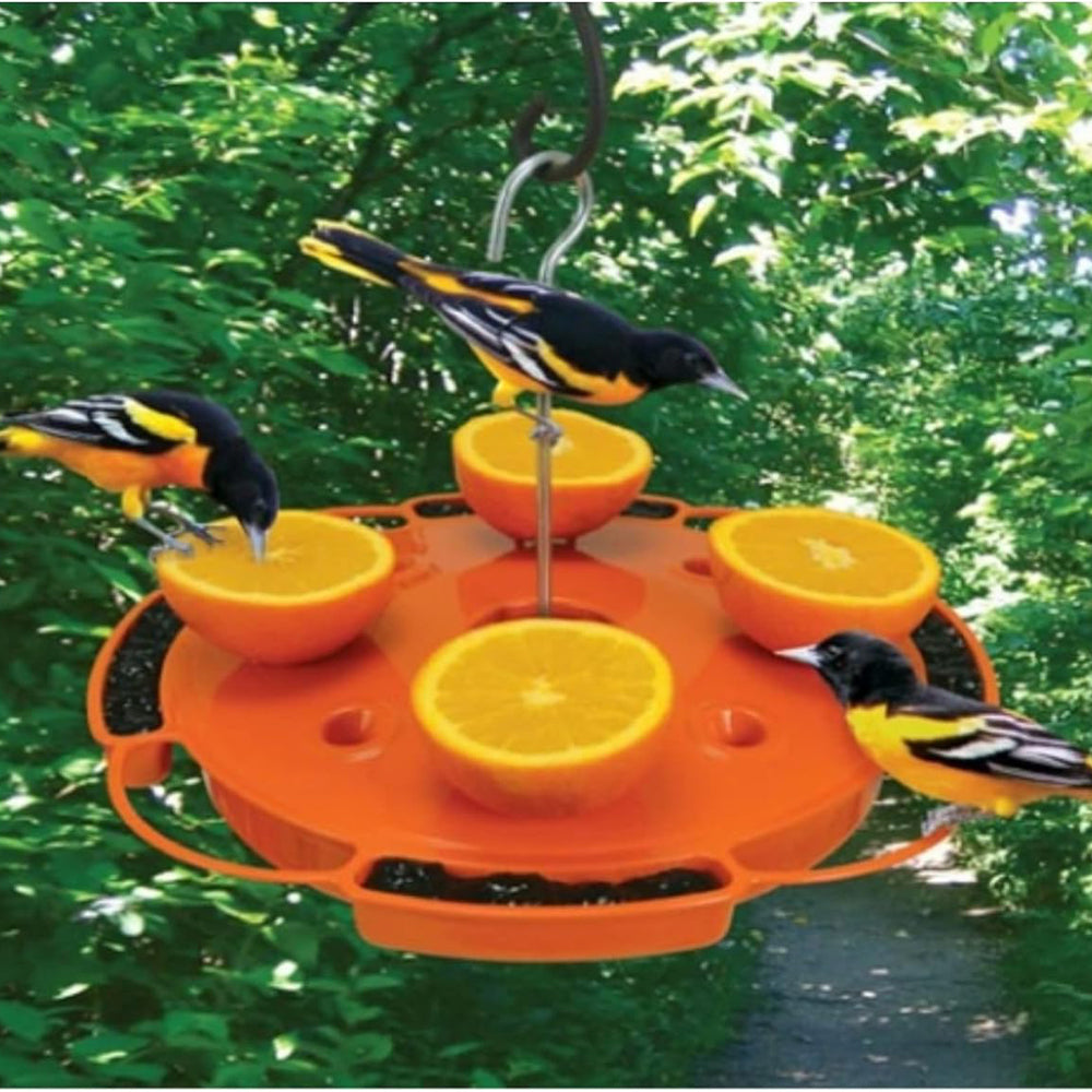 Songbird Essentials Ultimate Oriole Feeder, 32 oz.