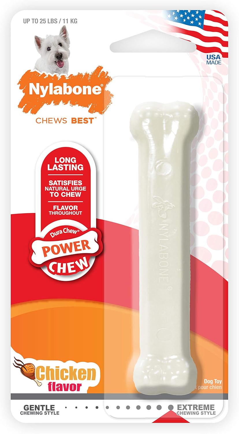 Nylabone Dura Chew Smooth Chicken Flavor White Dog Bone - Regular