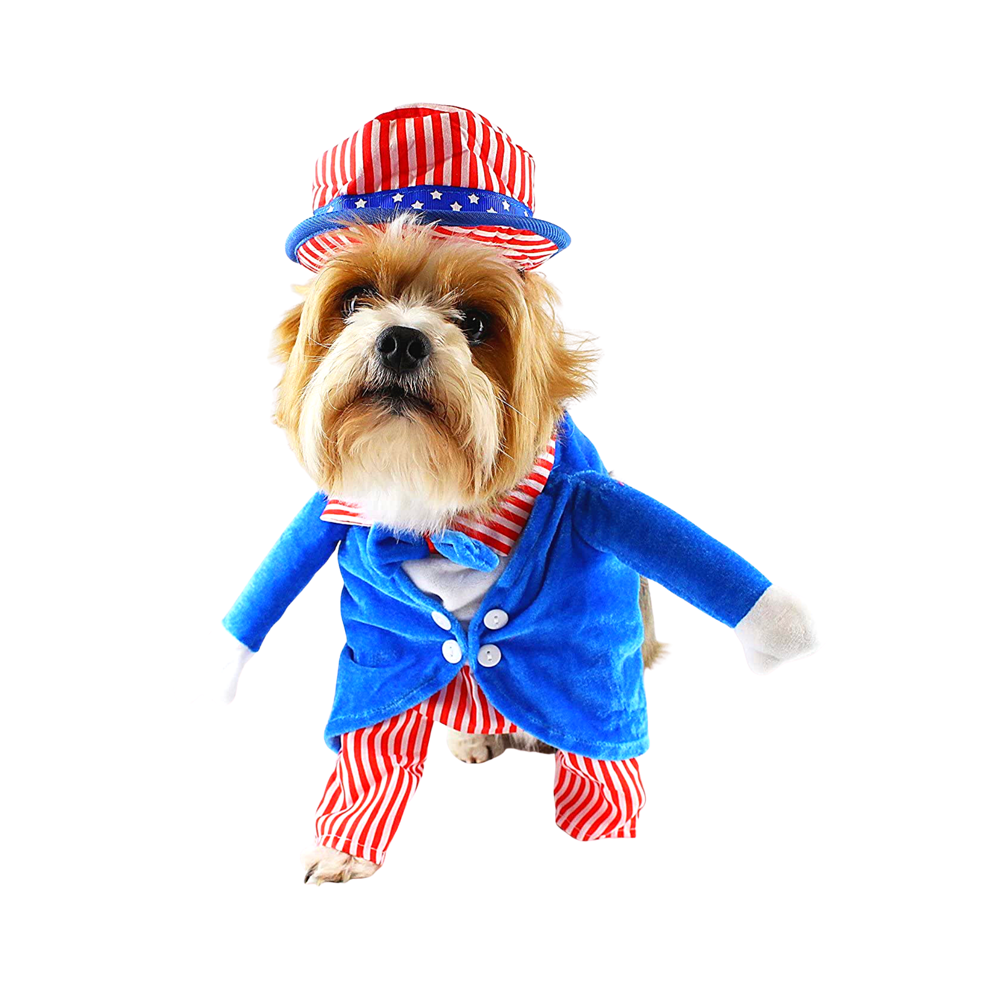 Fourth of sales july dog outfits