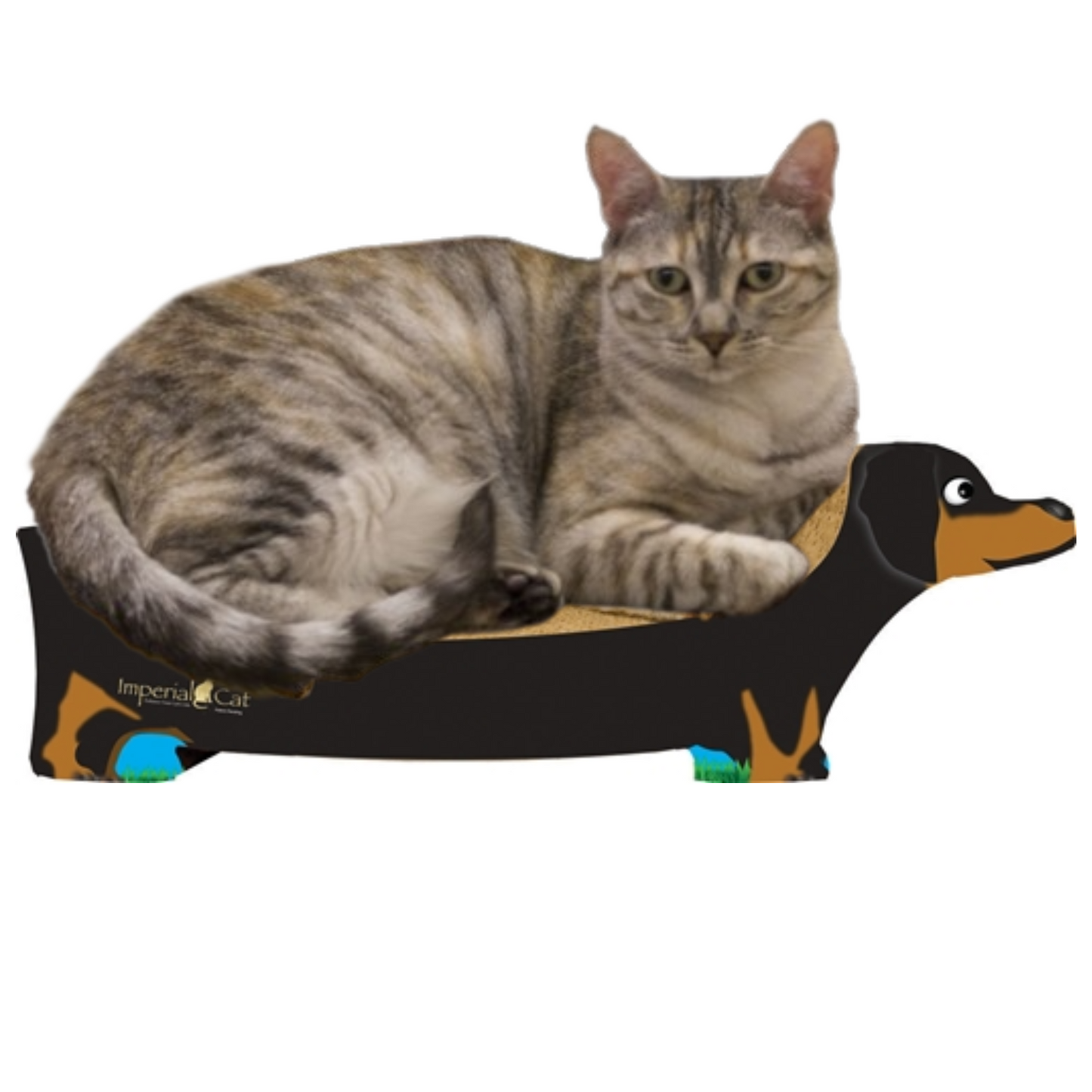 Imperial Cat Black Dachshund Scratch 'n Shape, Large