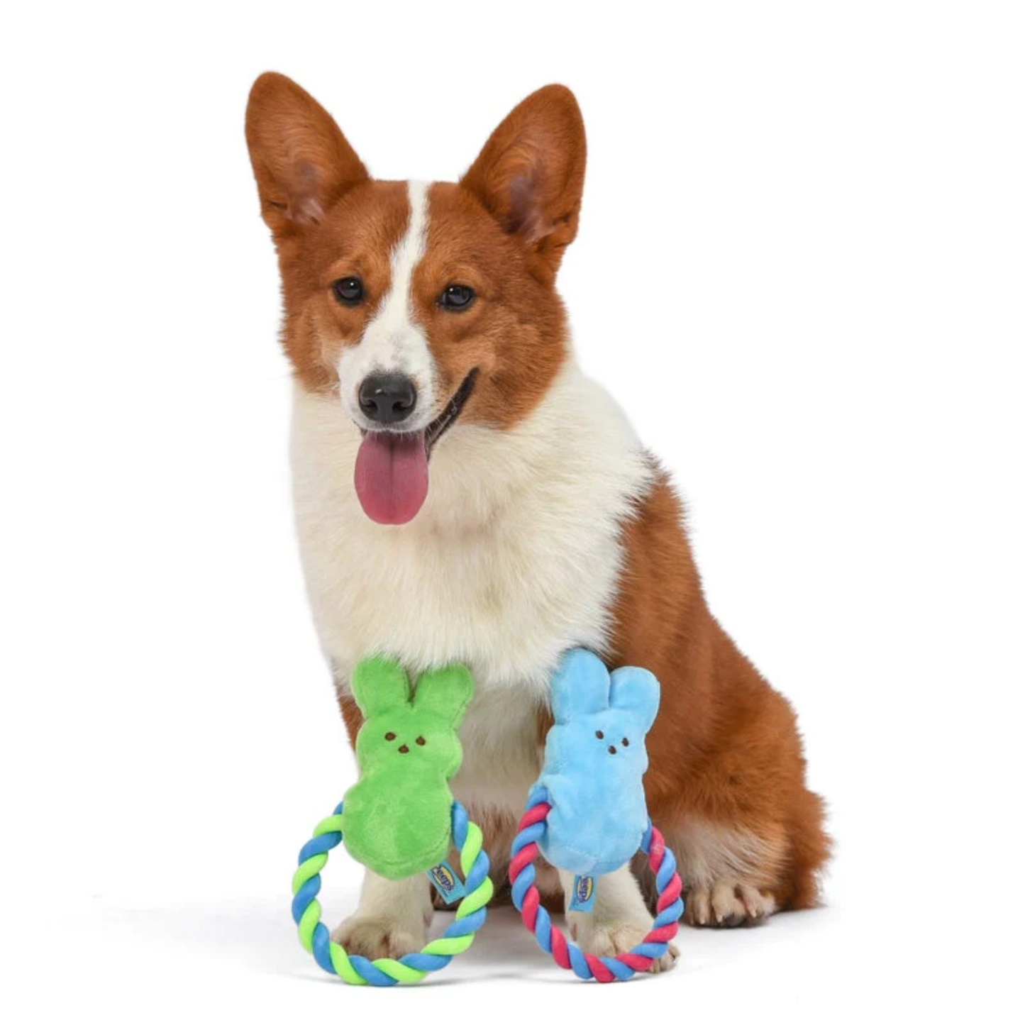 Peeps Squeaky Rope Dog Toy (Blue Bunny)