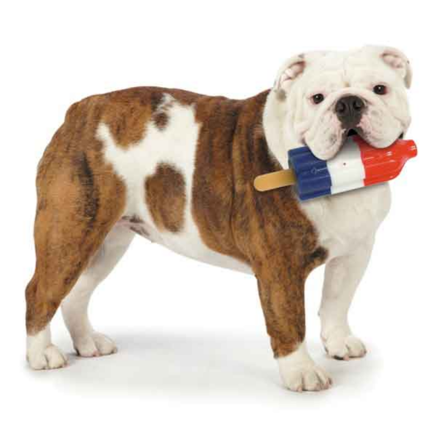 Cool Pup Cooling Dog Toy Rocket Pop, Large