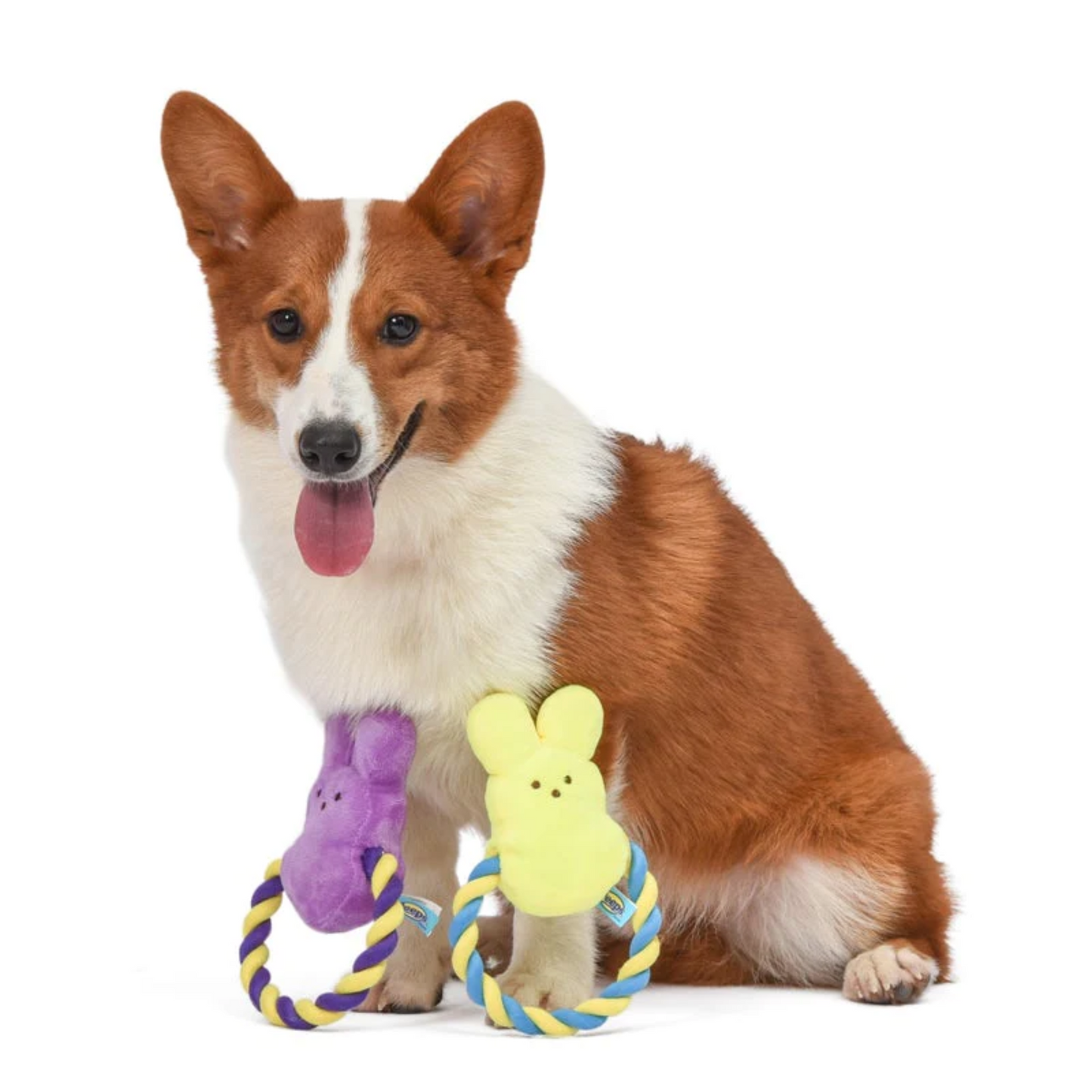 Peeps for Pets Squeaky Rope Dog Toy