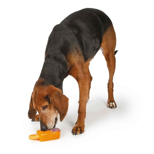 Cool Pup Cooling Popsicle Dog Chew Toy, Orange, Large