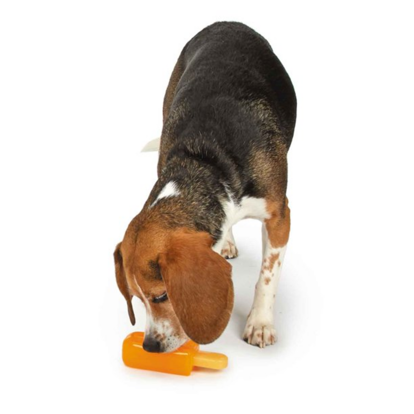 Cool Pup Cooling Popsicle Dog Chew Toy, Orange, Large