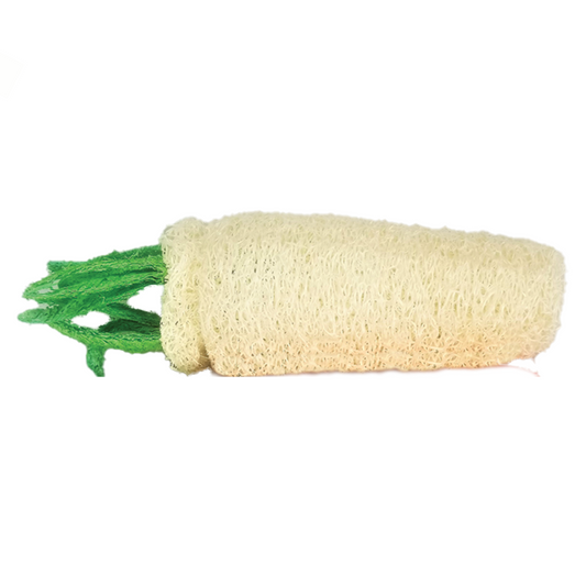 AE Cage Company Nibbles Daikon Loofah Chew Toy Large - DS