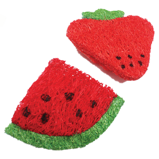 AE Cage Company Nibbles Strawberry and Watermelon Loofah Chew Toys - 2 count