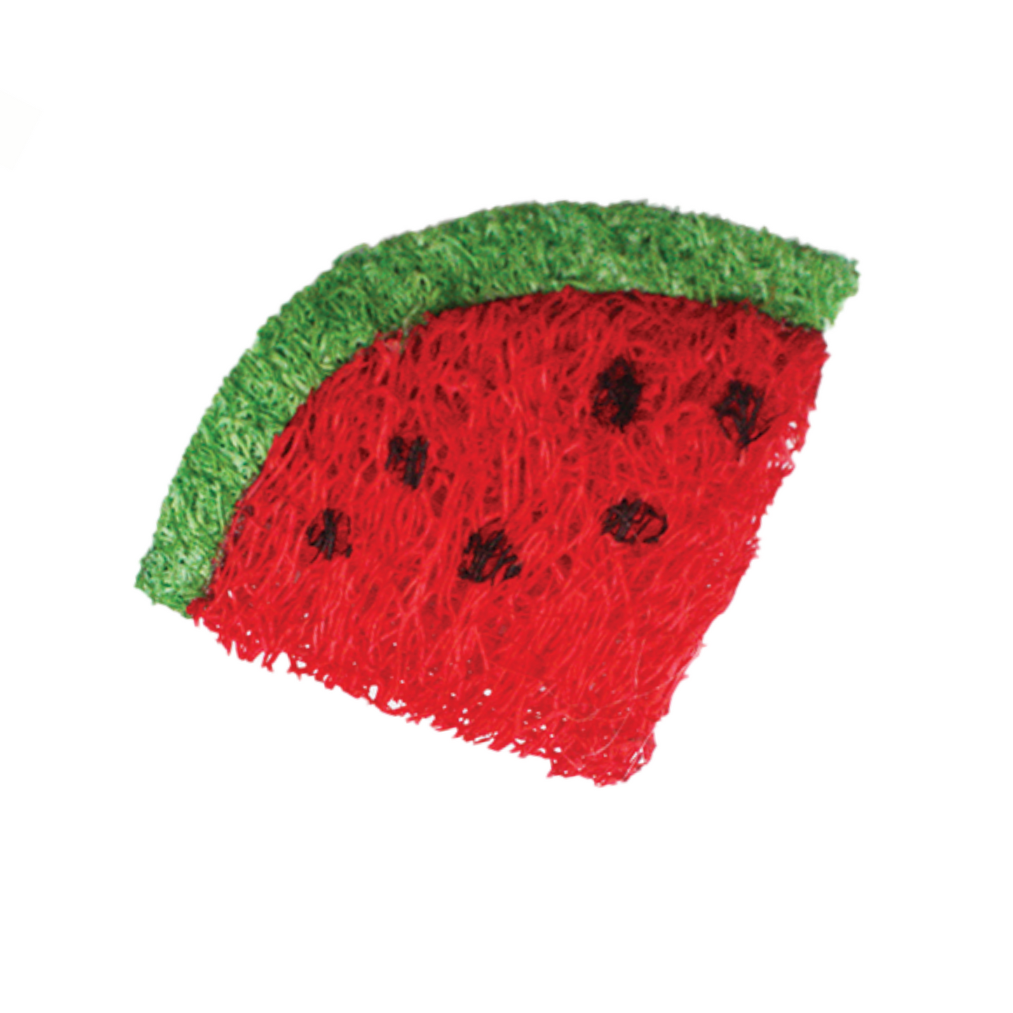 AE Cage Company Nibbles Strawberry and Watermelon Loofah Chew Toys - 2 count