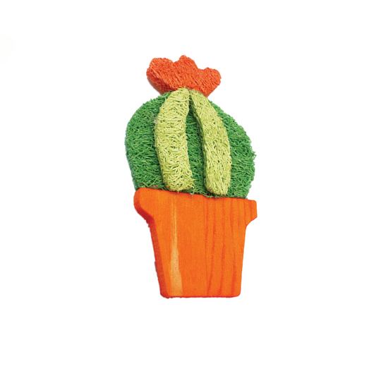 AE Cage Company Nibbles Barrel Cactus Loofah Chew Toy with Wood - 2 count