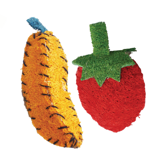 AE Cage Company Nibbles Strawberry and Banana Loofah Chew Toys