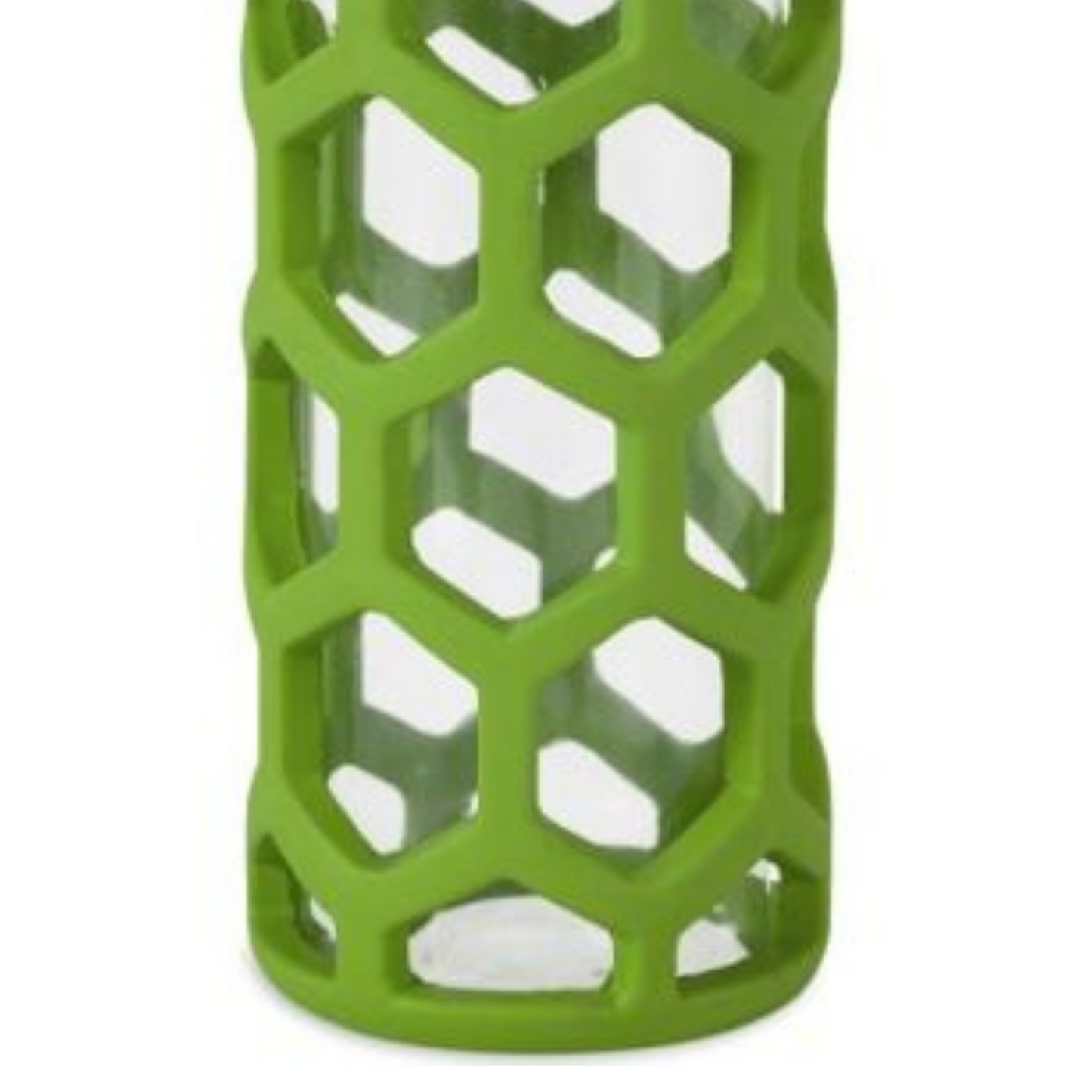 JW Pet HOL-ee Water Bottle Dog Toy