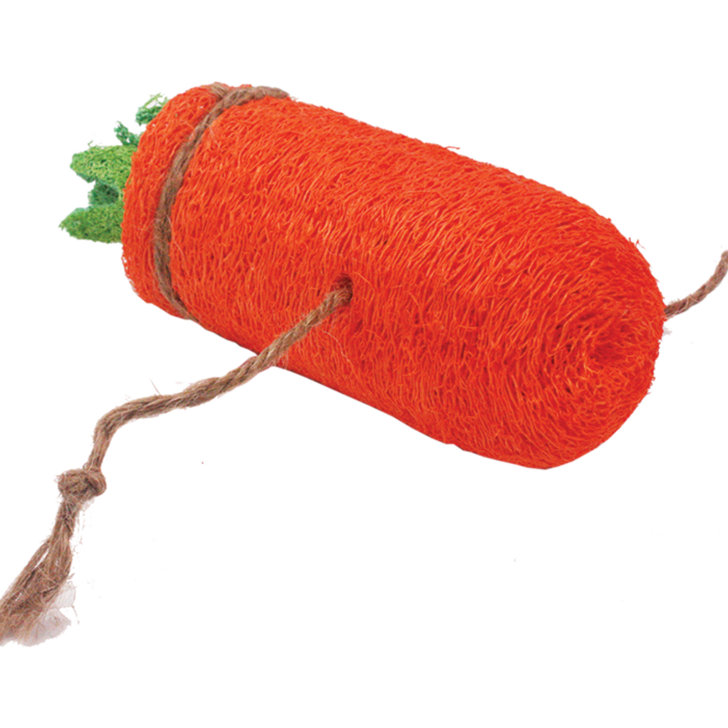 AE Cage Company Nibbles Carrot Loofah Chew Toy Large