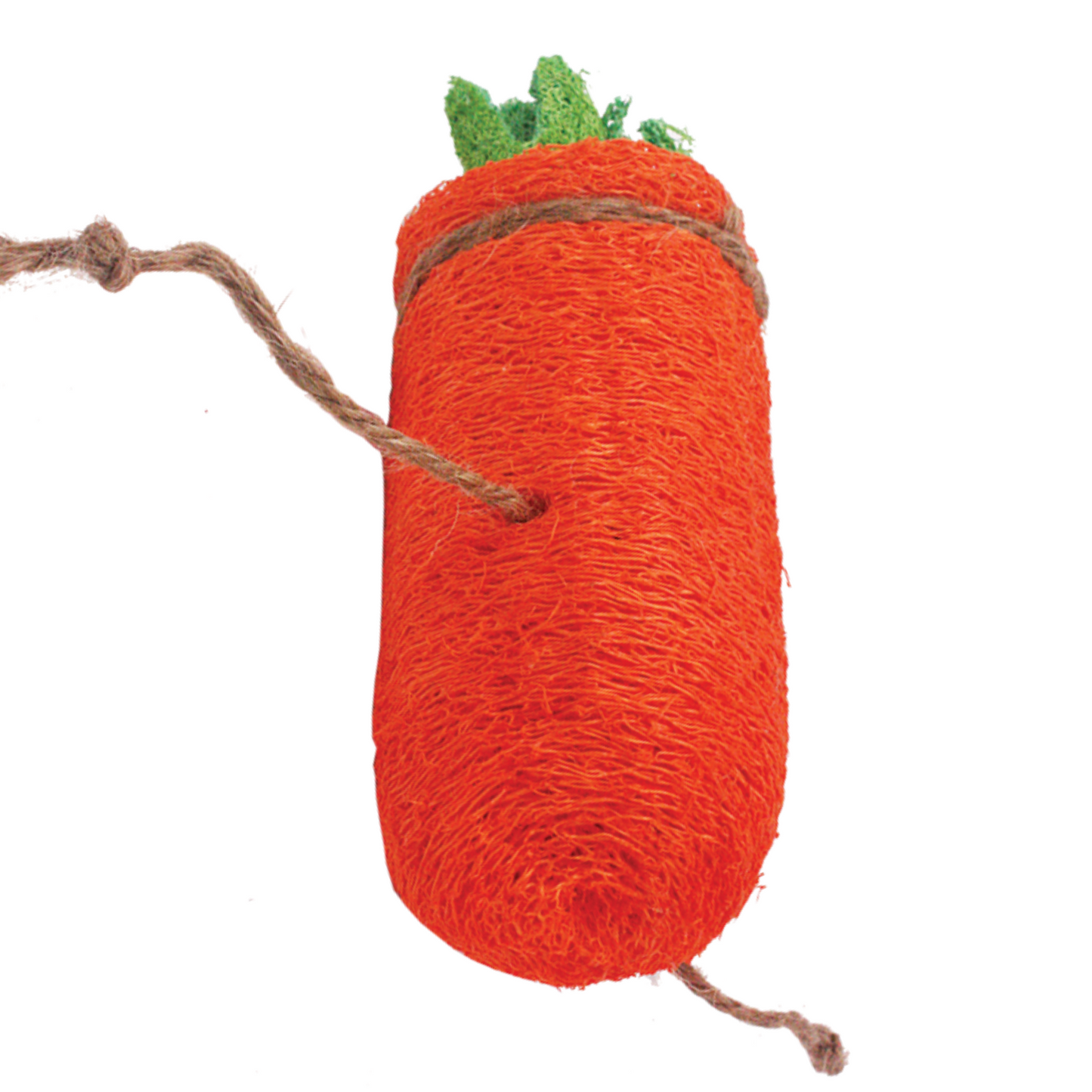 AE Cage Company Nibbles Carrot Loofah Chew Toy Large