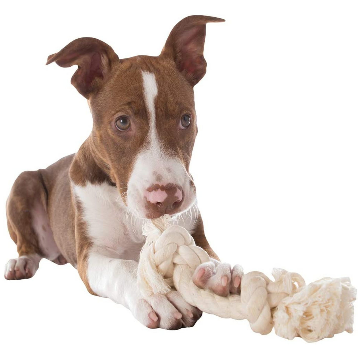 Flossy Chews Rope Bone - White- Mini (6" Long)