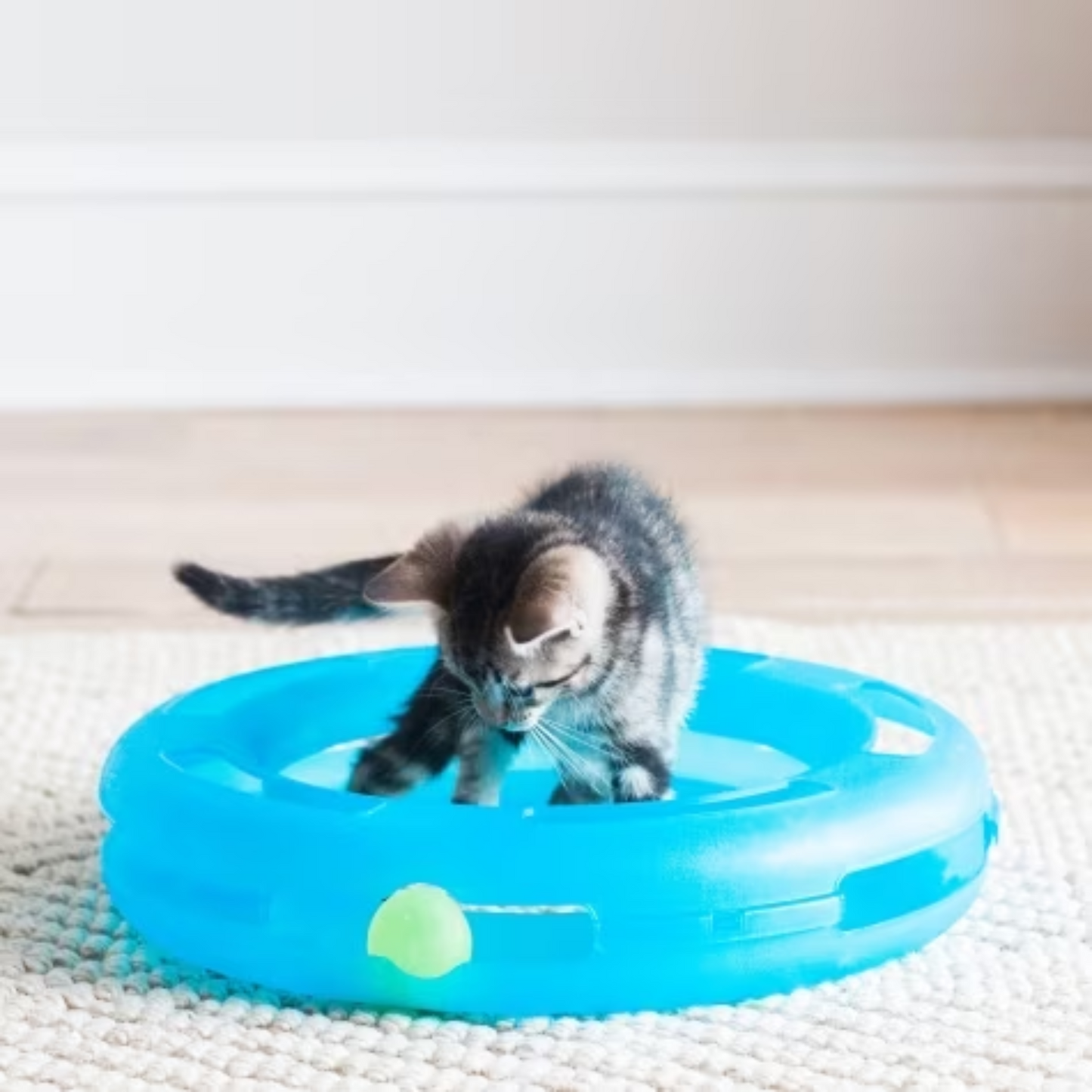 Petmate Crazy Circle Cat Toy - Blue - DS