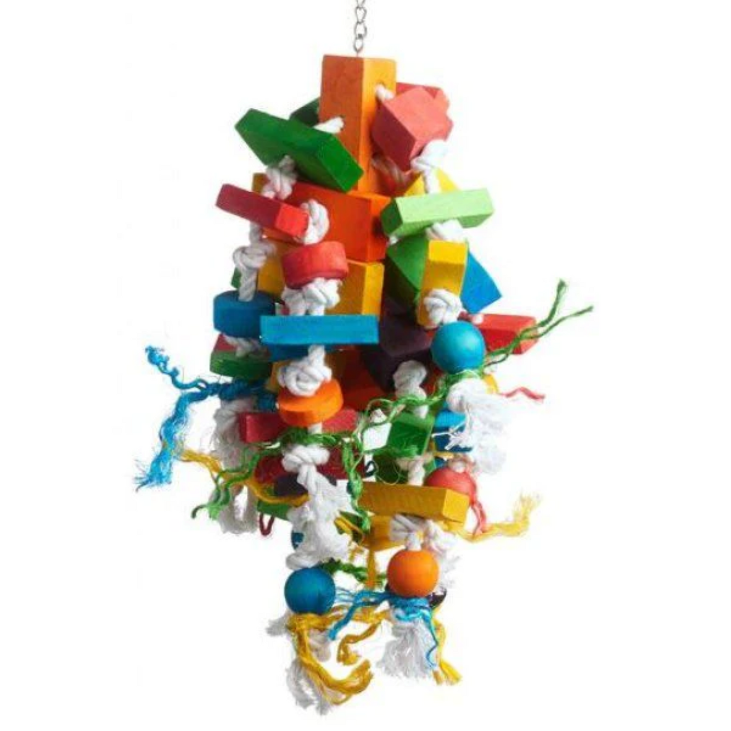 Prevue Bodacious Bites Wizard Bird Toy - DS