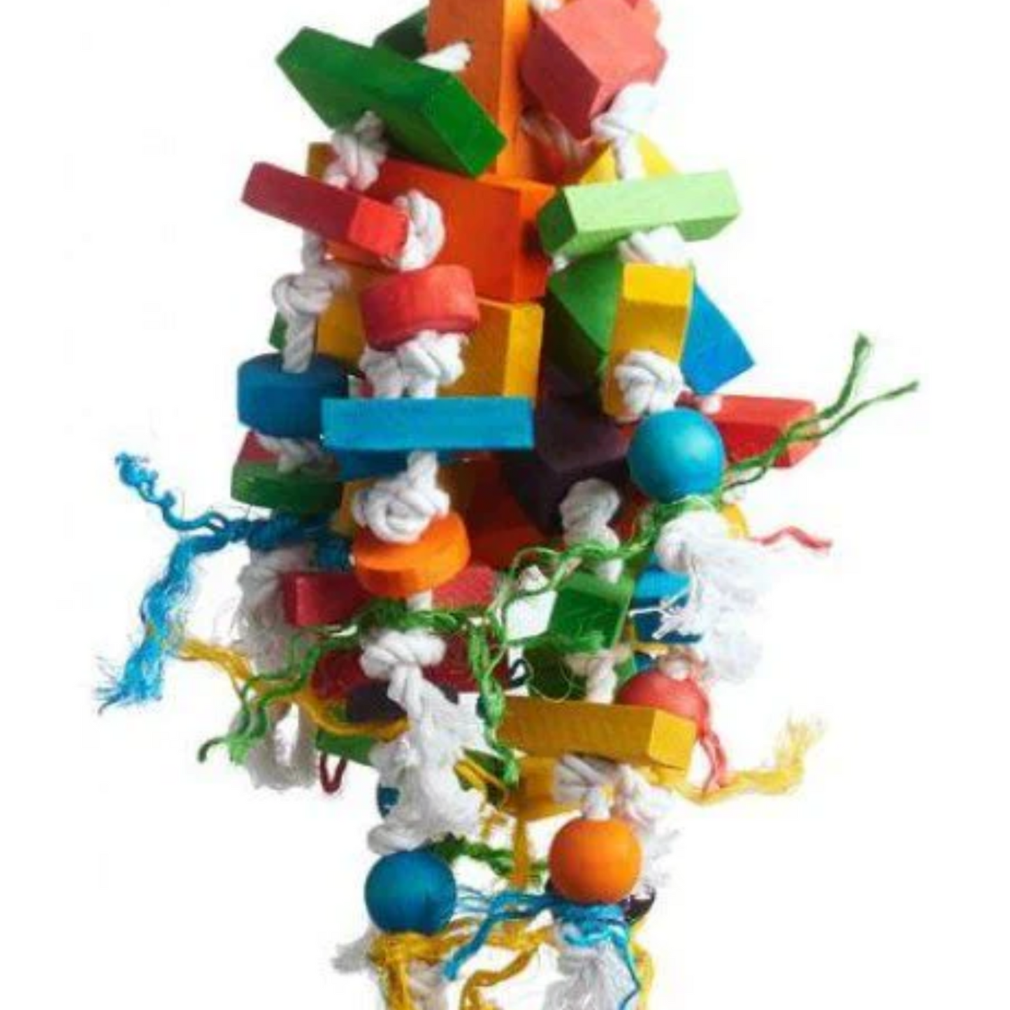 Prevue Bodacious Bites Wizard Bird Toy - DS