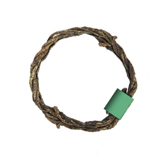 Zoo Med ReptiVine Flexible Hanging Vine for Reptiles - DS