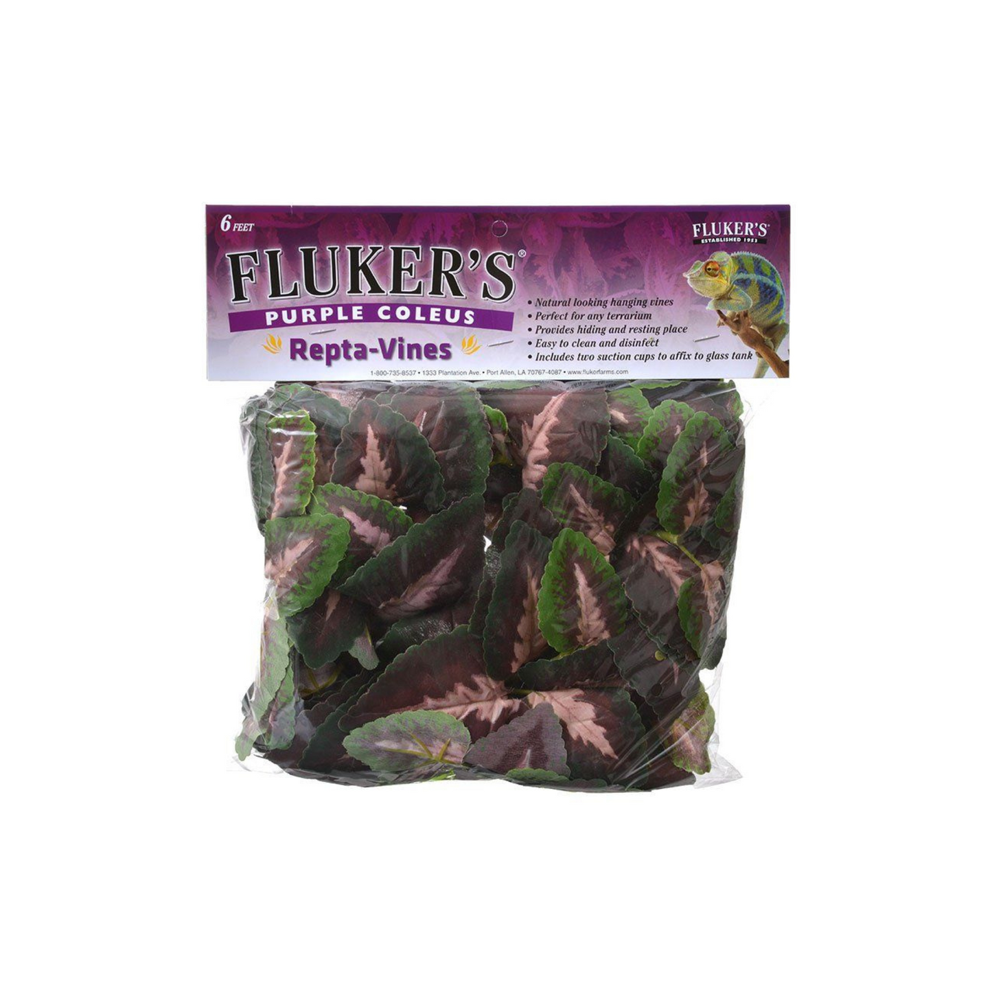 Flukers Purple Coleus Repta-Vines - DS