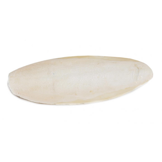 Prevue Cuttlebone Birdie Basics X-Large 8" Long - DS