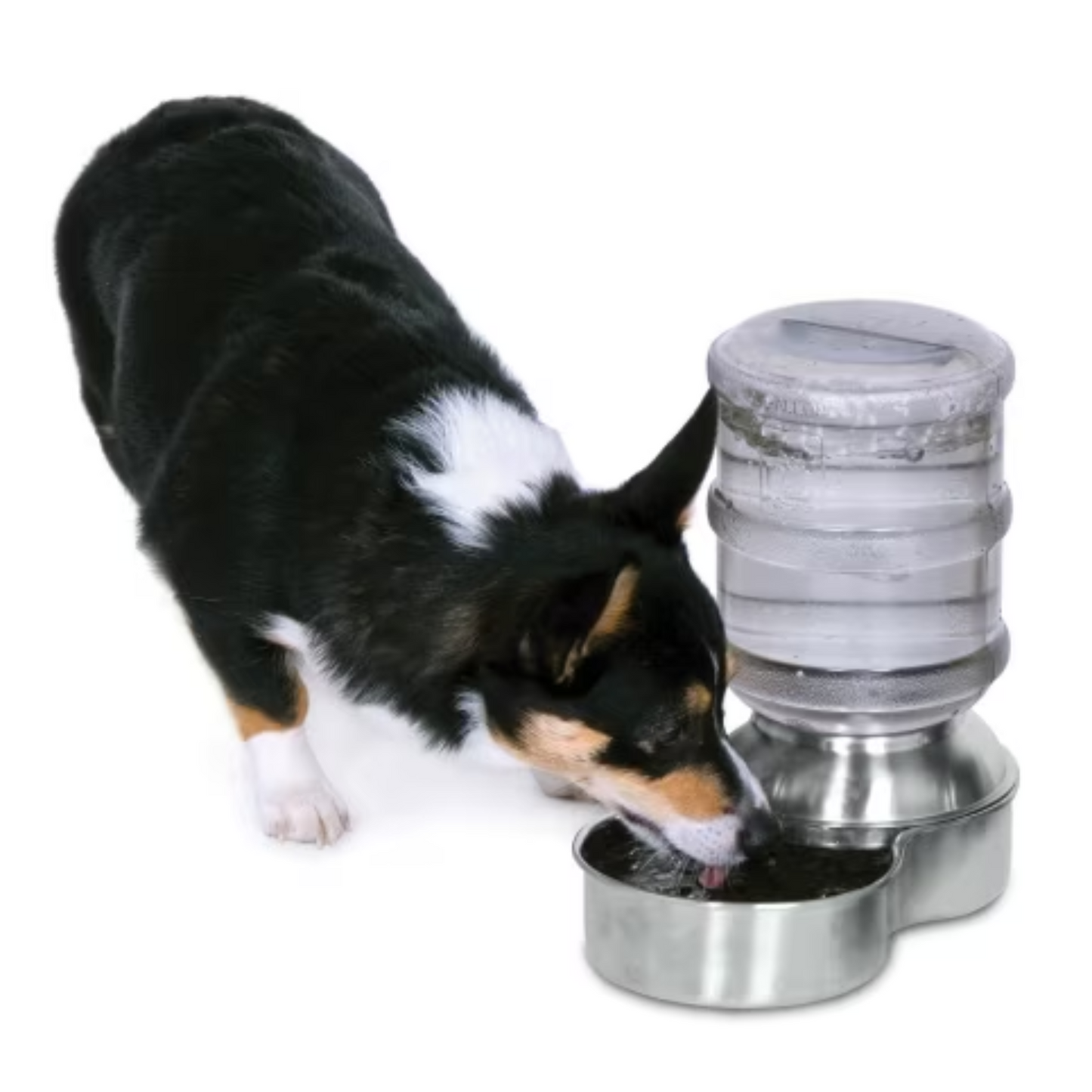 Petmate Replendish Stainless Steel Waterer