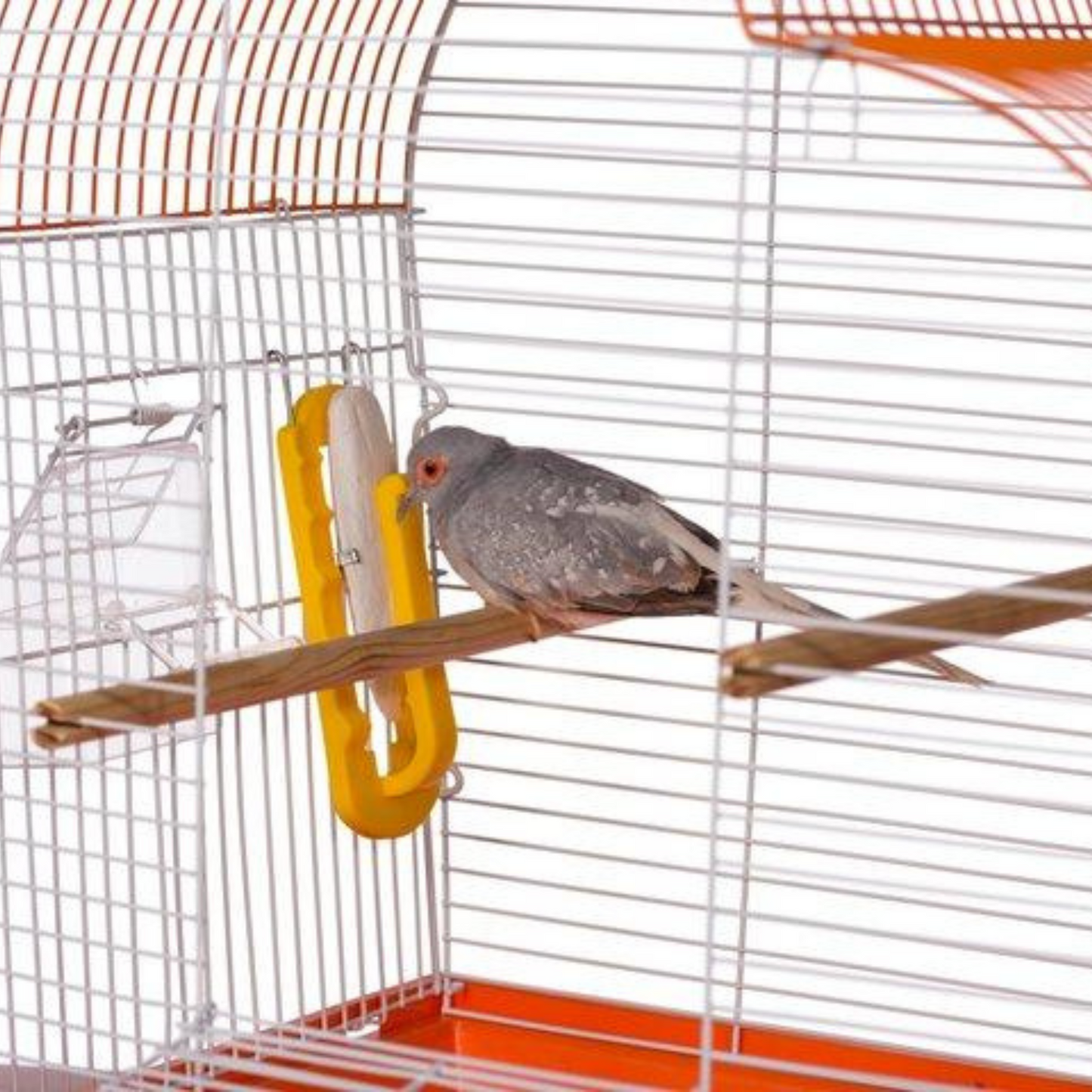 Prevue Birdie Basics Cuttlebone and Treat Holder - DS