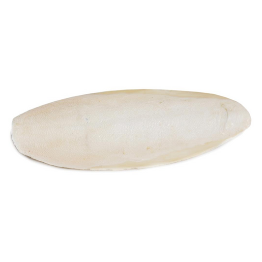 Prevue Cuttlebone Birdie Basics Large 6" Long(5 lbs Bulk) - DS