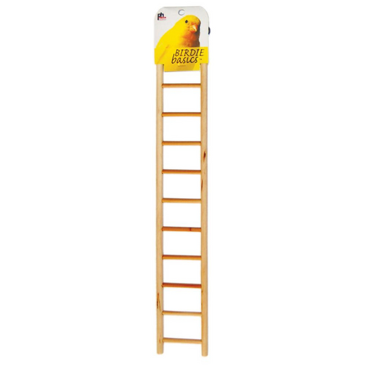 Prevue Birdie Basics Ladder(11 Rung Ladder) - DS