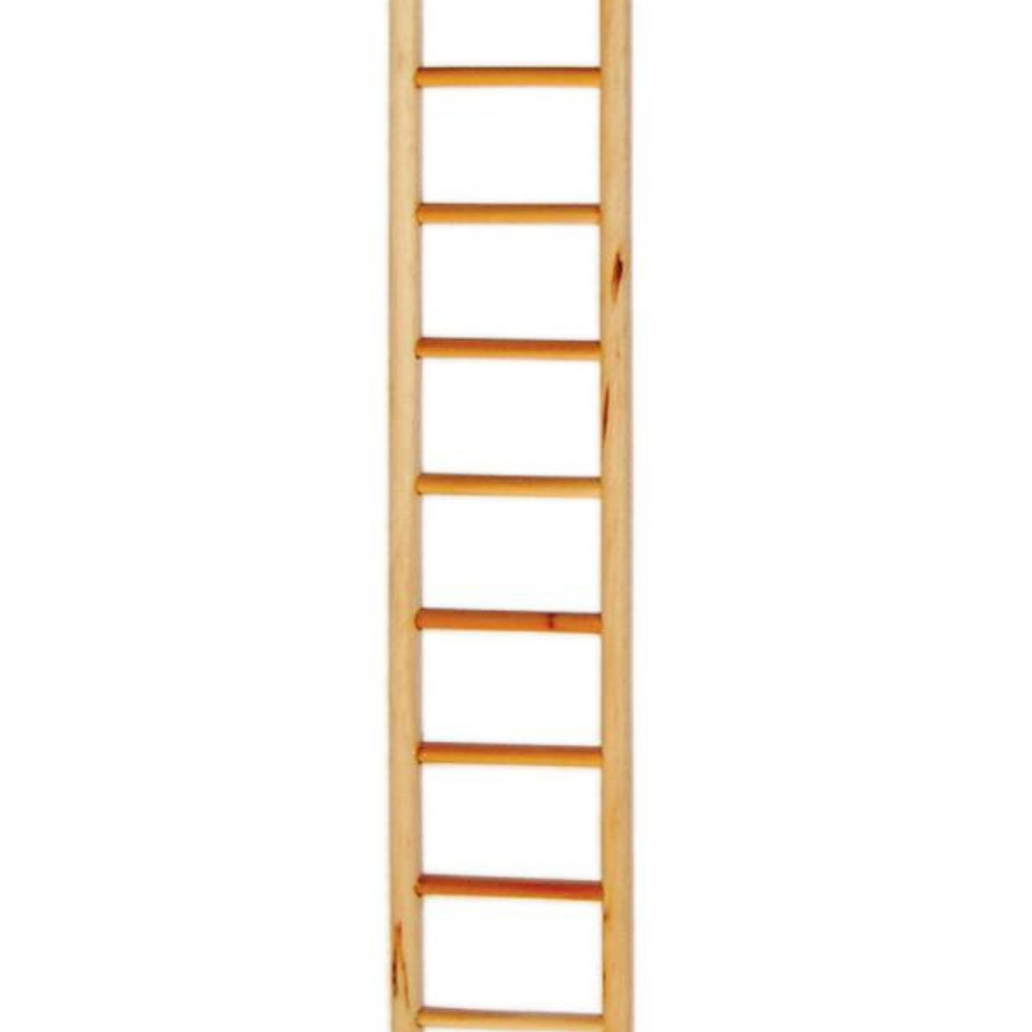 Prevue Birdie Basics Ladder(11 Rung Ladder) - DS