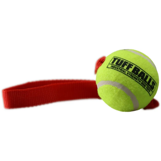 Petsport Fetch Me Fido Tuff Balls Dog Toy