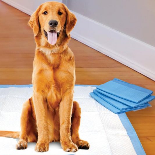 Four Paws X-Large Wee Wee Pads 28" x 34"(6 count)