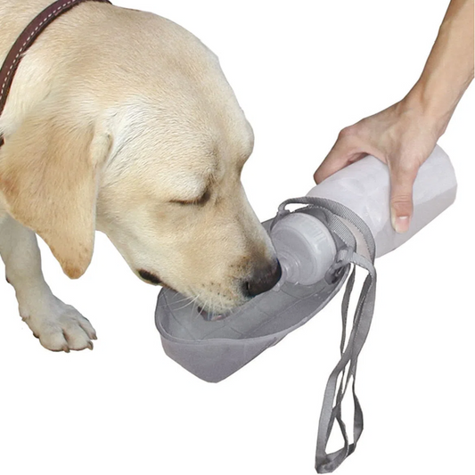 Lixit Thirsty Dog Portable Dog Water Bowl & Bottle