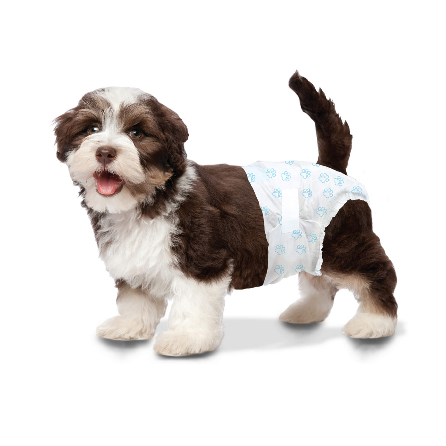 Four Paws Wee Wee Disposable Diapers X-Small