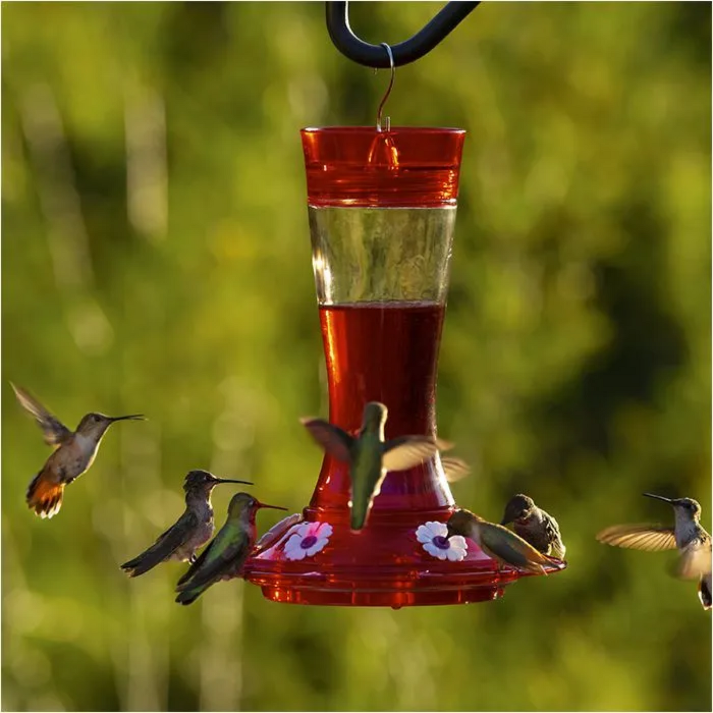 More Birds Health Plus Ready To Use Hummingbird Nectar Natural Red - 64 oz