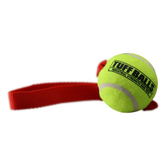 Petsport Mini Fetch Me Fido