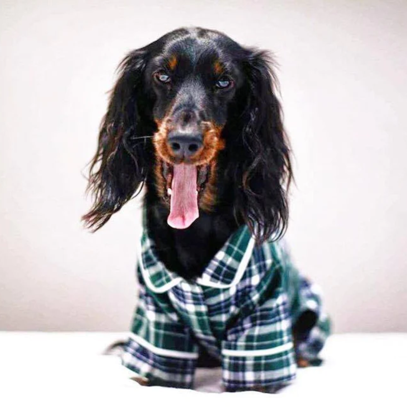 Fab Dog Flannel Dog Pajamas