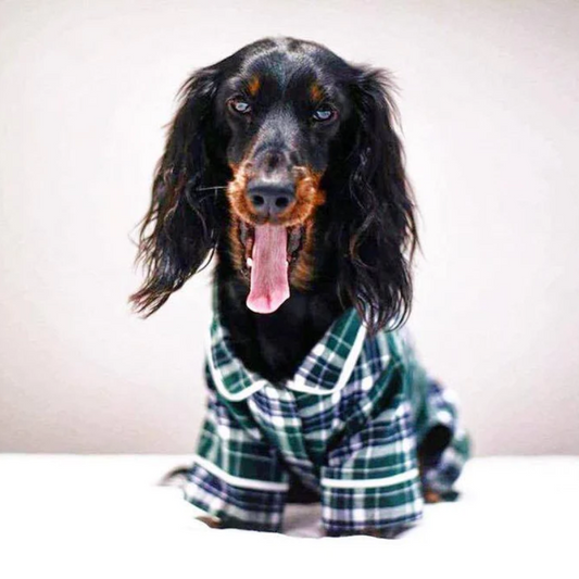 Fab Dog Flannel Dog Pajamas