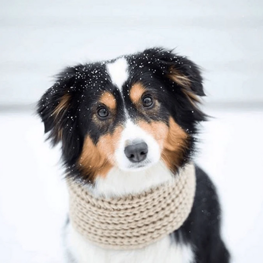 fabdog Infinity Dog Scarf Oatmeal (M/L)