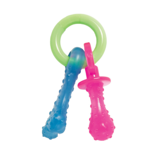 Nylabone Puppy  Chew Teething Pacifier