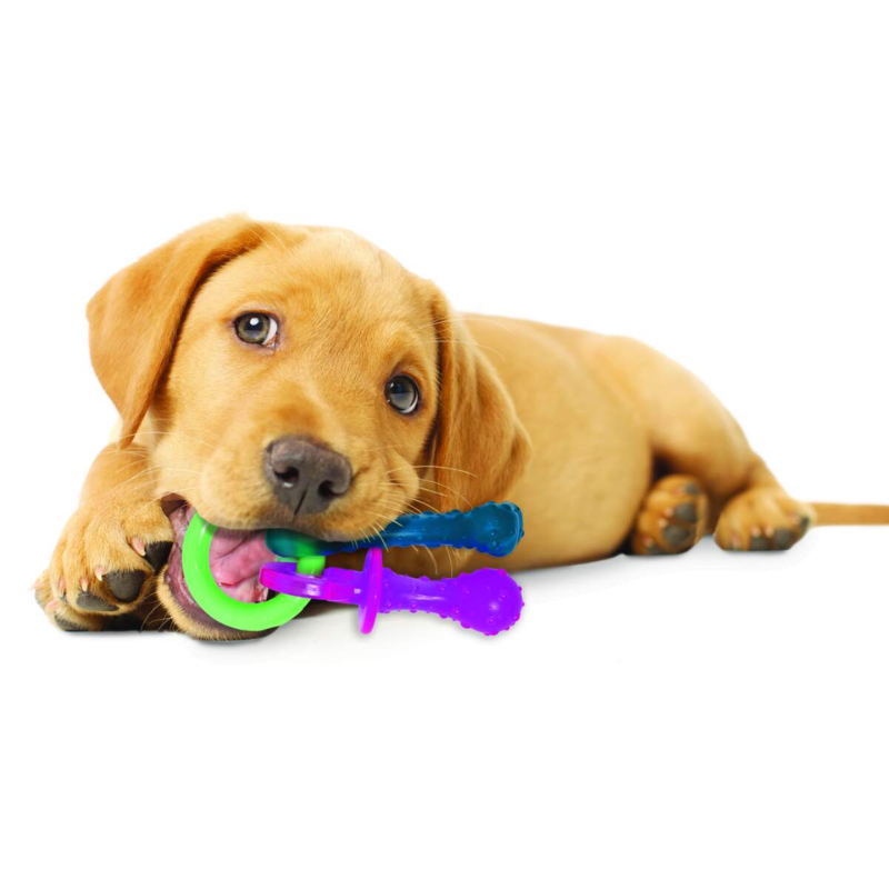 Nylabone Puppy  Chew Teething Pacifier