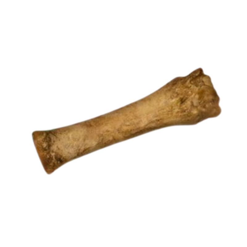 Nylabone Healthy Edibles Wholesome Roast Beef Flavor Dog Chews - Souper(1 Pack)